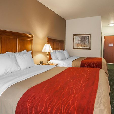 Comfort Inn & Suites Davenport - Quad Cities Екстер'єр фото
